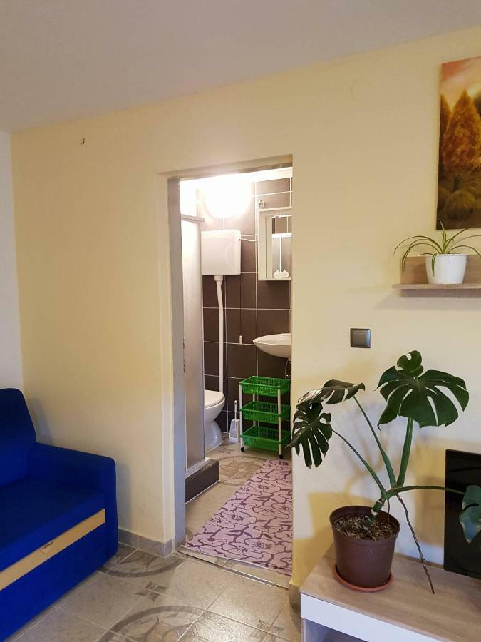 Villa Niki Rezine 로브란 외부 사진